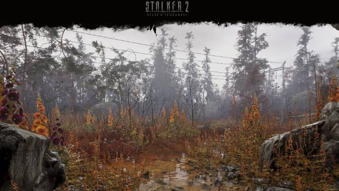 S.T.A.L.K.E.R. 2 сталкер 2 прохождение 2 стрим