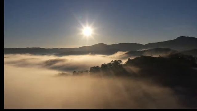 After listening to 10 minutes, you will immediately fall into a deep sleep, sleep music