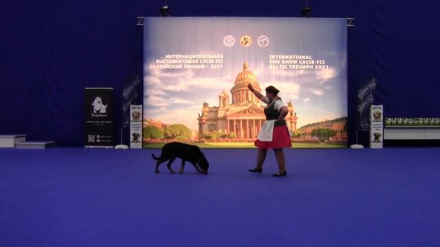 Тренировочный - Лобастова Инна и босерон Истгаард Аида