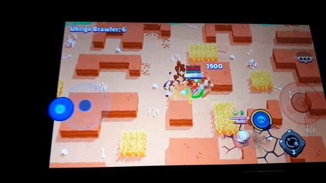 Brawl stars der Nita