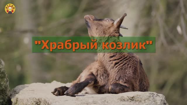 Сказка "Храбрый козлик"