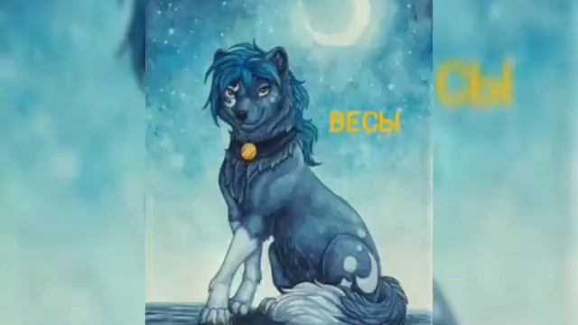 Какой ты волк по знаку зодиака 💖🐺