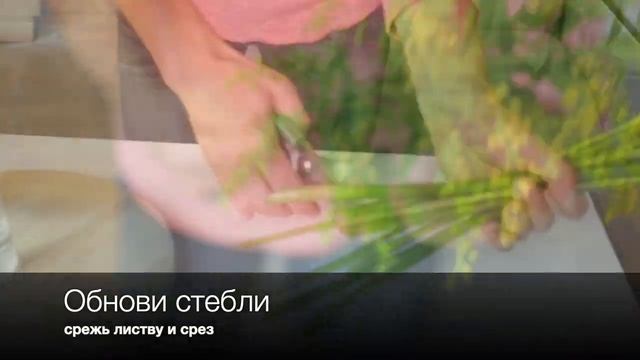Подписка на цветы https://letlovebloom.ru в Москве и Санкт-Петербурге