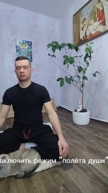 как и тело, мозг нуждается в регулярной тренировке