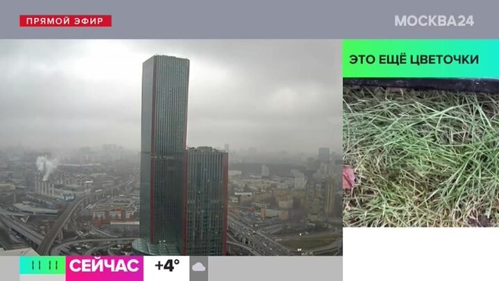 Синоптики спрогнозировали небольшой дождь 29 января