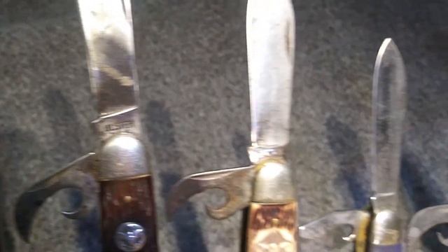 Boy Scout #knife  Collection #shorts
