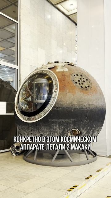 В профиле еще больше интересных фактов! Подпишись ❤️
