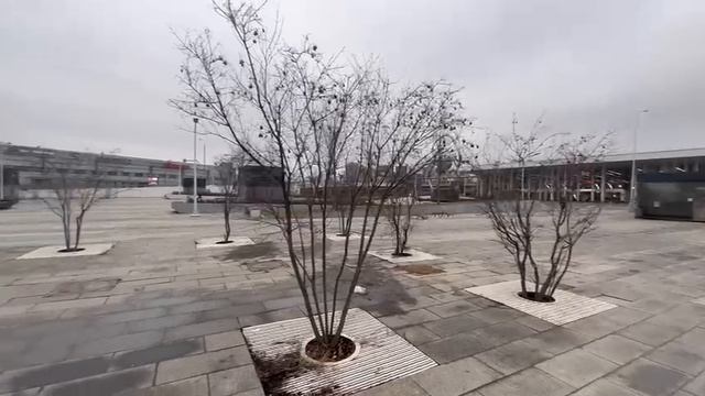 WhatsApp Video 2025-01-28 at 17.01.37