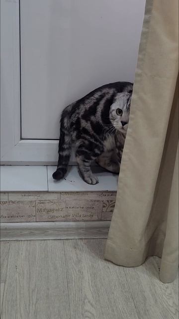 Утренний караоке