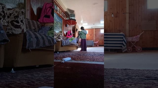 VID20250129124746.mp4