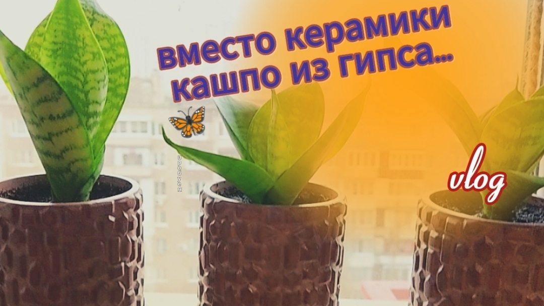 Вместо керамики. Кашпо из гипса...
