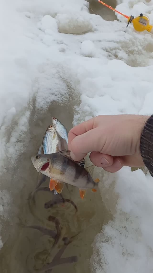 РЫБАЛКА В ГЛУХОЗИМЬЕ,ЯНВАРЕ.ВОДЫ НА ЛЬДУ МОРЕ!!!