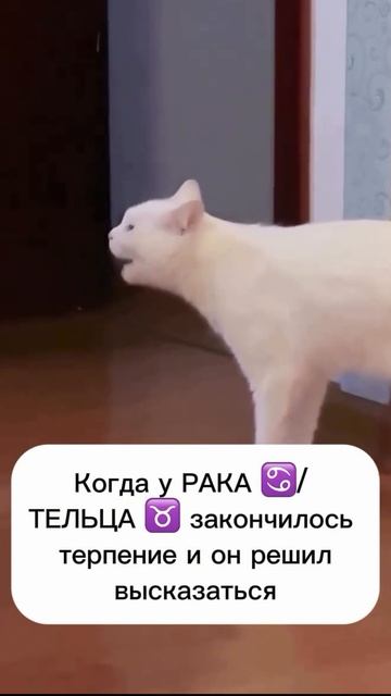 Узнали себя?