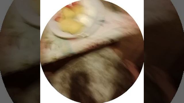 29-01-2025