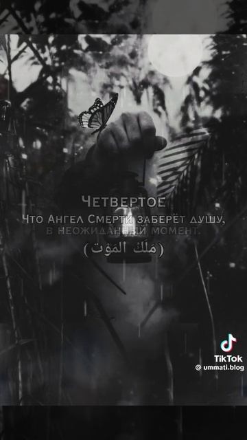 Муъмину стоит бояться 5 вещей