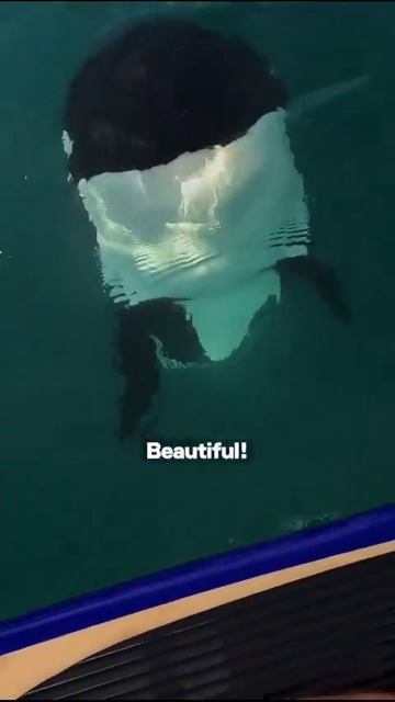 Когда делаешь вид ,что тебе не страшно.