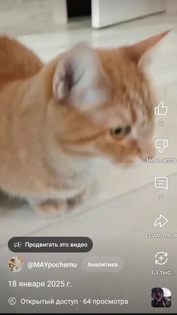 1000019128.mp4
