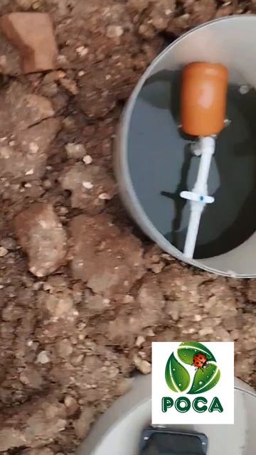 Монтаж септика РОСА ПРО на 5 пользователей под ключ от производителя Доступные Системы Очистки