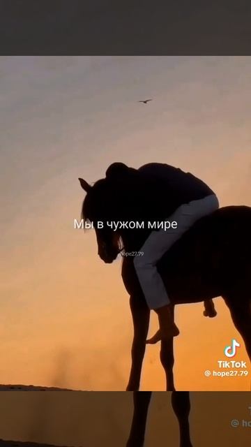 Дунья не идеальна