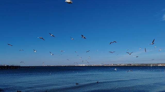 Анапа сегодня центральный пляж