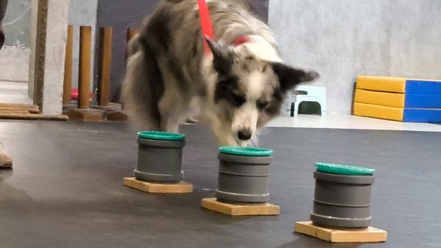 1000025718.mp4