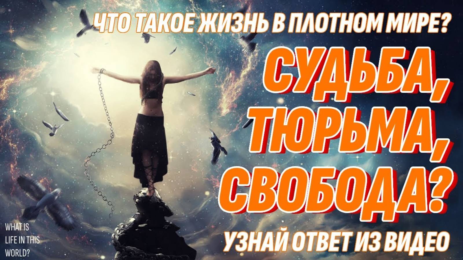 Жизнь на Земле - это Судьба, Тюрьма или Свобода? Ответ в видео
