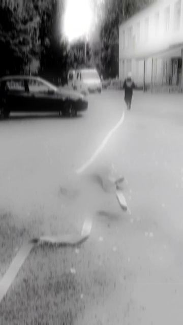 Стажировка в Поисково-спасательной службе