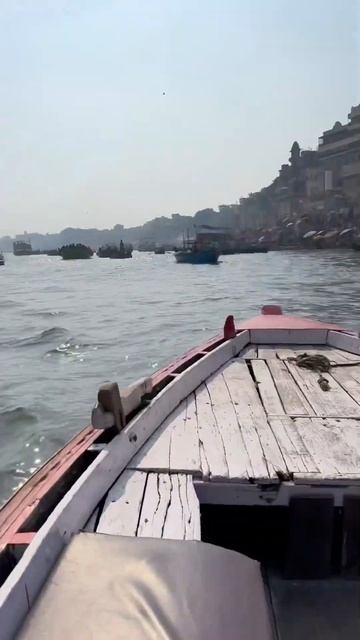 Мой гид .  #shortsvideo #streetfood #share #food #louisvuitton #travel #louisvuittonparis