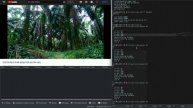 Демонстрация EcoDPI. Как работает блокировка торрент?