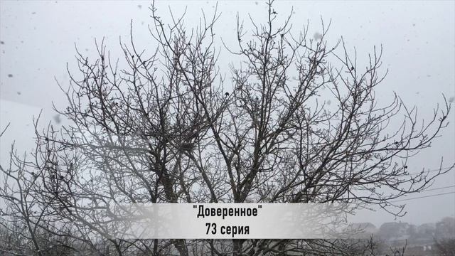 ДОВЕРЕННОЕ 73 серия русская озвучка {ДАТА ВЫХОДА И АНОНС} / Emanet 73. Bölüm