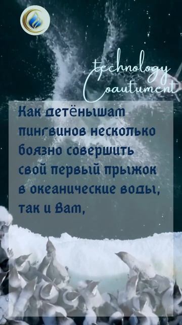 ТриП  Потенциал - Прогресс - Польза - Клип @tripcoautument