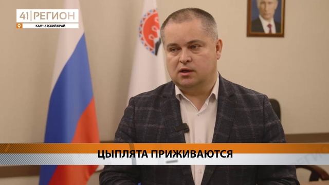 ПЕРВЫЕ ЯЙЦА «ПИОНЕРСКОГО» ПОЯВЯТСЯ В МАГАЗИНАХ ПЕТРОПАВЛОВСКА В МАЕ • НОВОСТИ КАМЧАТКИ