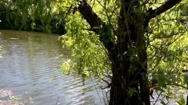 Видео_