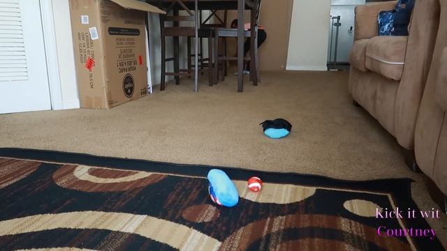 BRINGING HOME MY NEW PUPPY + FIRST 24 HOURS WITH MY TOY POODLE | THIS IS NOT WHAT I EXPECTED...