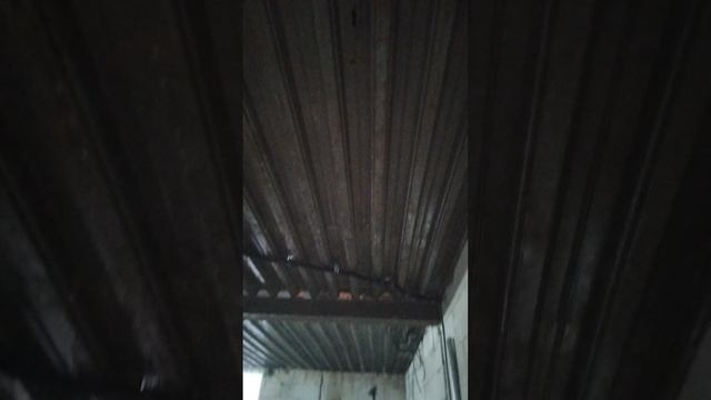 1000040857.mp4