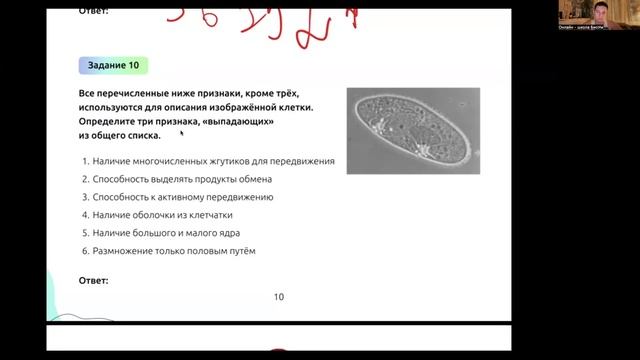 video1280777661