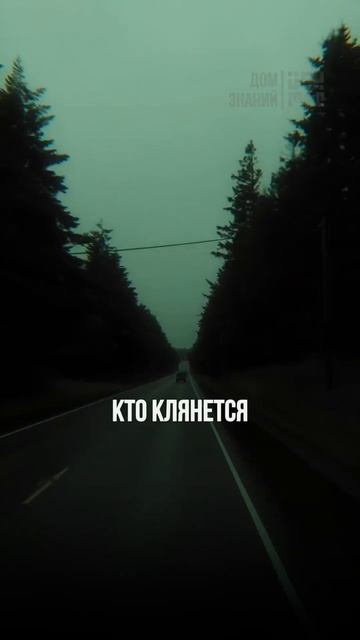 1000009951.mp4