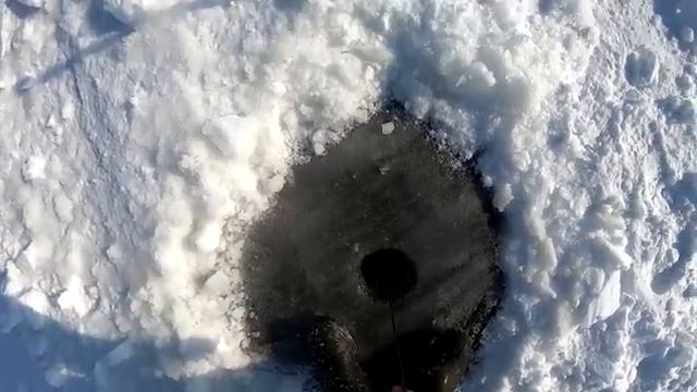 УДАЧНАЯ РЫБАЛКА НА ХАПУГИ. ТОЛЬКО ПРИЕХАЛ И СРАЗУ ВЫХВАТИЛ ХОРОШЕГО САЗАНА...
