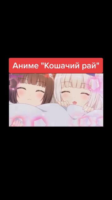 1000010824.mp4