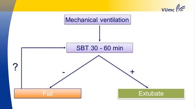 Diaphragmatic function How to explore & preserve Leo Heunks 2017