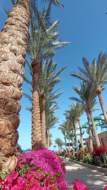 оазис в пустыне