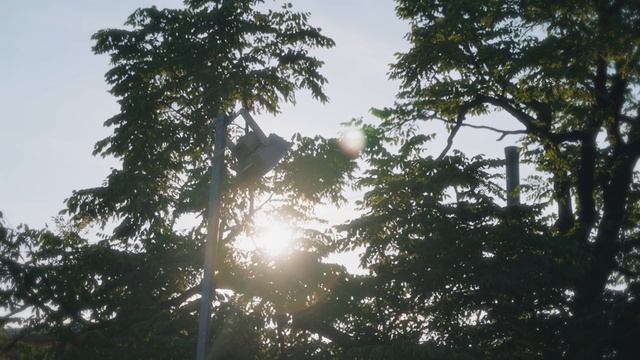 How to Shoot a Cinematic Running Video with iPhone