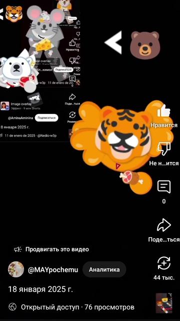 1000019122.mp4