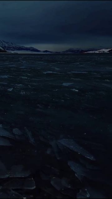 Раненый цветок. Немного строк из моего творчества