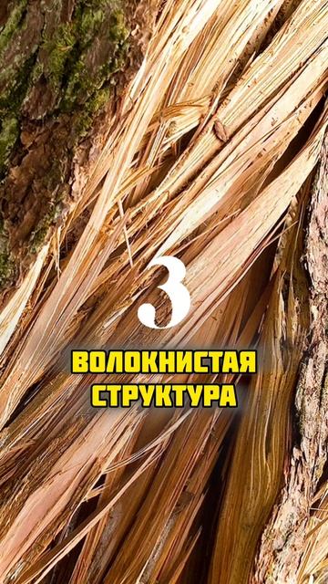 Материаловедение / Макроструктура строительных материалов / Виды и типы макроструктур материалов