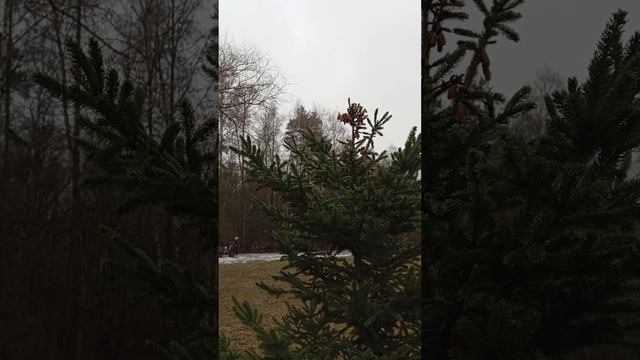 29.01.25. Диалог с женщиной с ребёнком