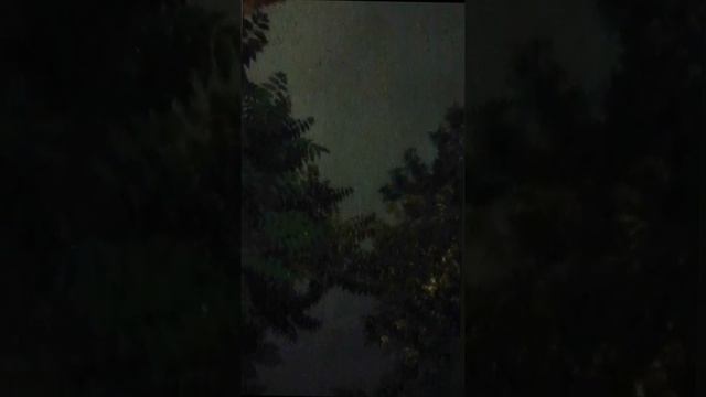 1000156662.mp4