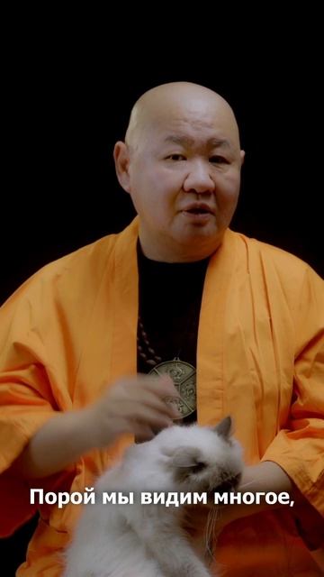 О взгляде на вещи! #монах #мудрость #кот
