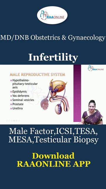 Male Factor,ICSI,TESA,MESA,Testicular Biopsy