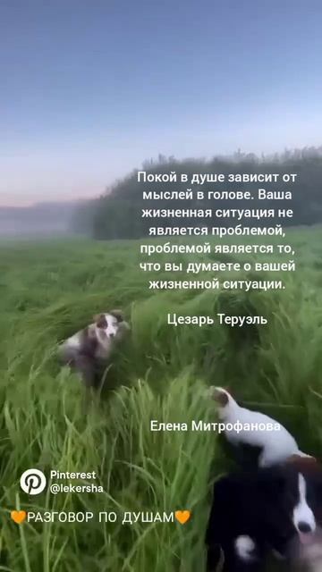 Покой в душе зависит от мыслей в голове.